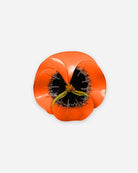 Broche orange et noire en forme de fleur 