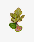 Broche créateur figue fruits verts et roses et feuilles vertes