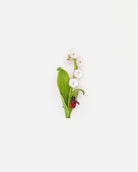 Broche muguet avec fleurs blanches et coccinelle rouge all-groups