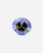 Broche originale en forme de fleur pensee bleue